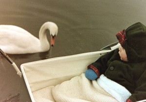 David with swan