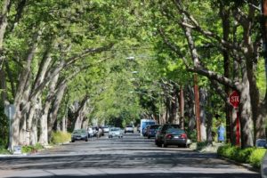 University Ave., Palo Alto