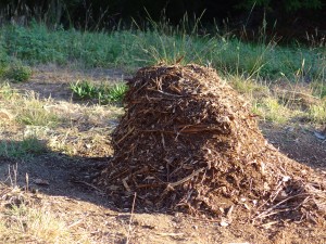 Stick pile