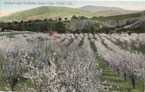 Old postcard of Santa Clara Valley