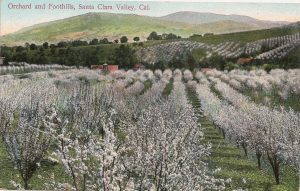 Old postcard of Santa Clara Valley